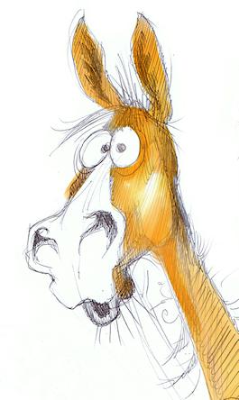 Fergus head sketch